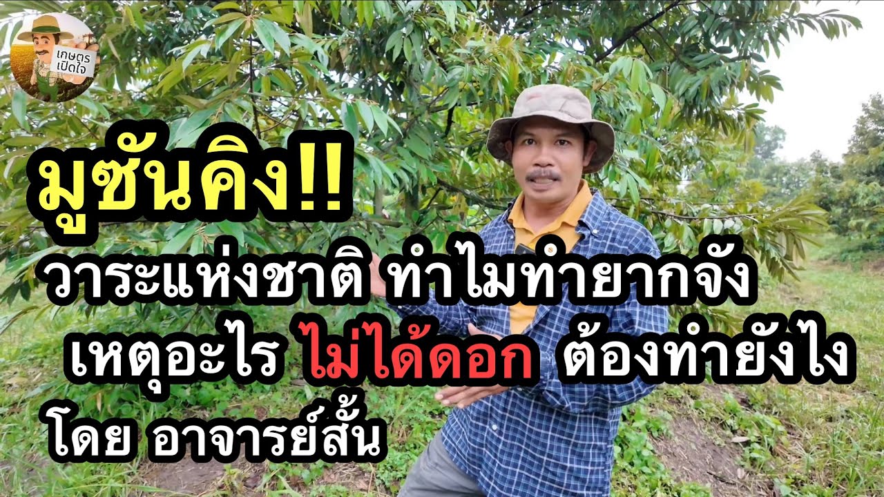 มูซันคิง ทำดอกยากจัง ใบไหลไม่หยุด ต้องดูแลอย่างไรดี จะได้สำเร็จสักที | อาจารย์สั้น