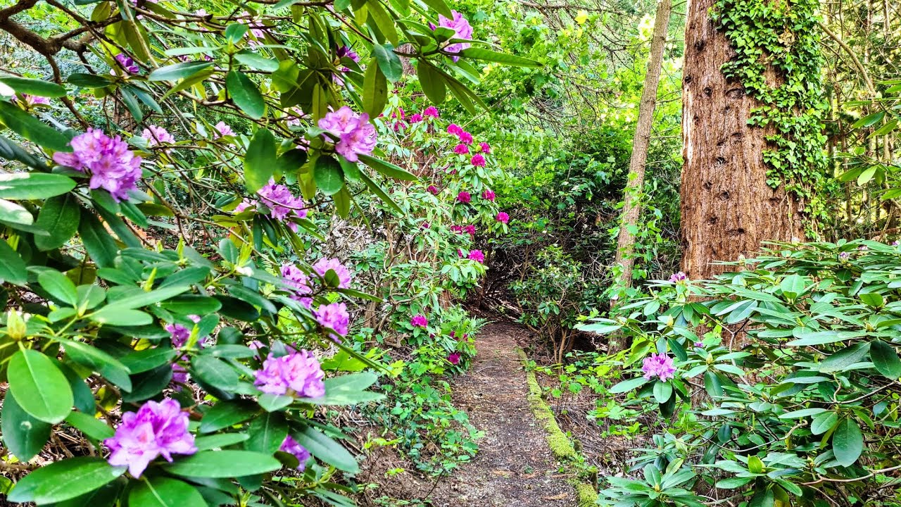 Arboretum in Baden-Baden