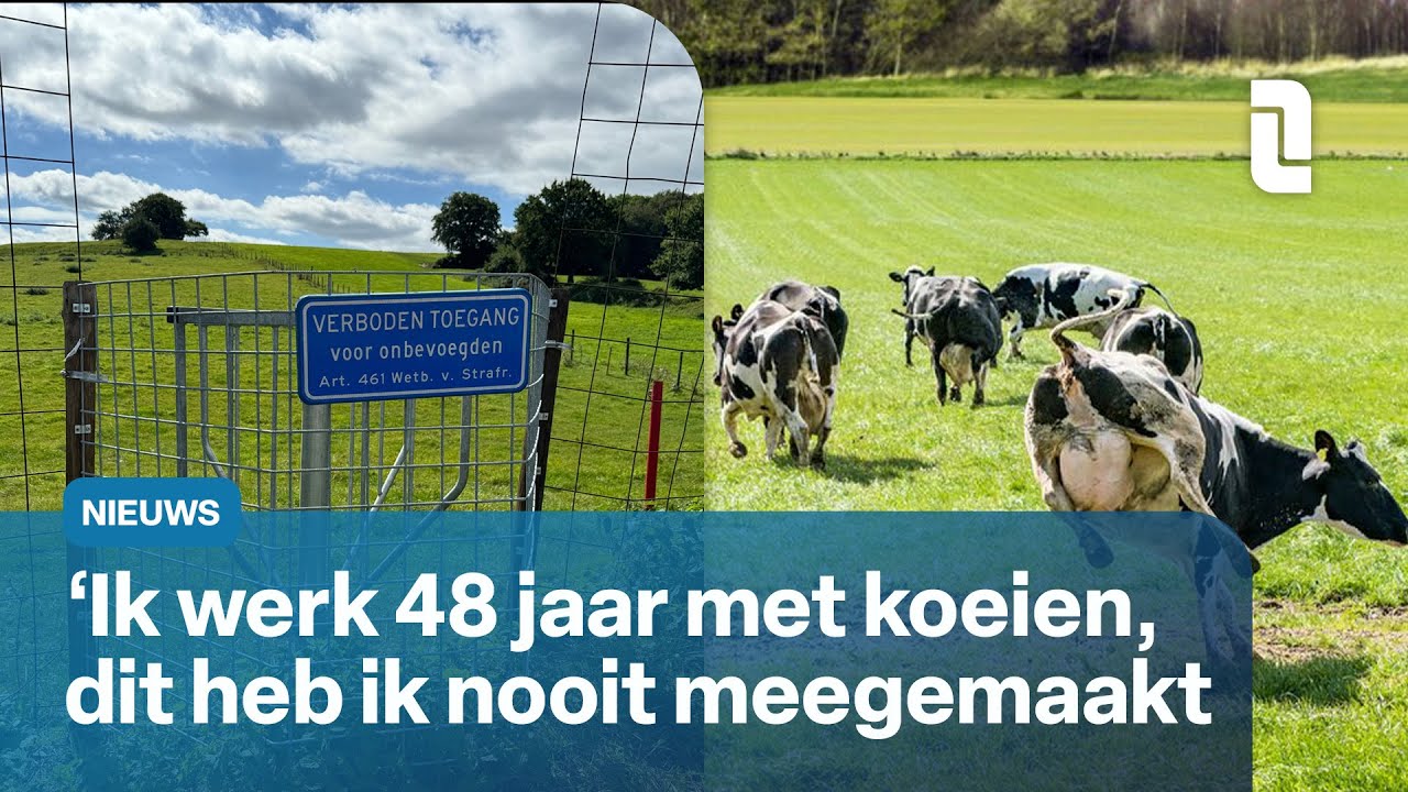 Weiland met dodelijke koeien pas kort open voor publiek | L1 Nieuws
