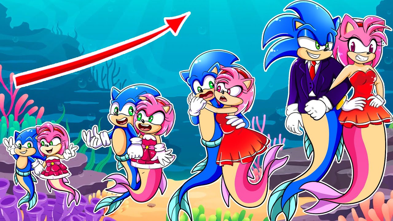 Baby Sonic Mermaid Loves Baby Amy Mermaid - Sonic Animation