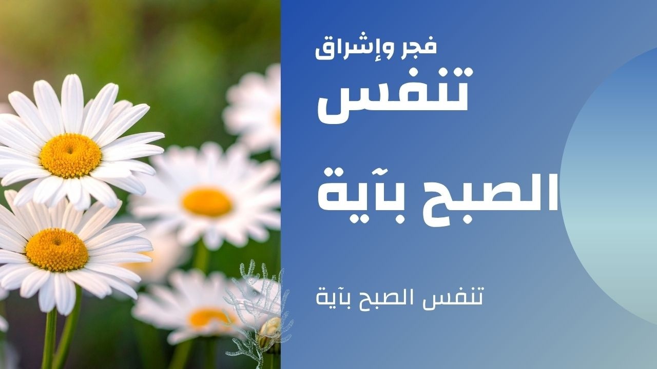Morning Adhkar (أذكار الصباح) Daily Supplications for Barakah & Inner Tranquility |Haven Holy Quran