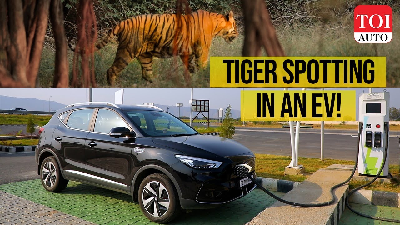 MG ZS EV: 1000 km road trip from Delhi to Ranthambore | How difficult is it? | TOI Auto