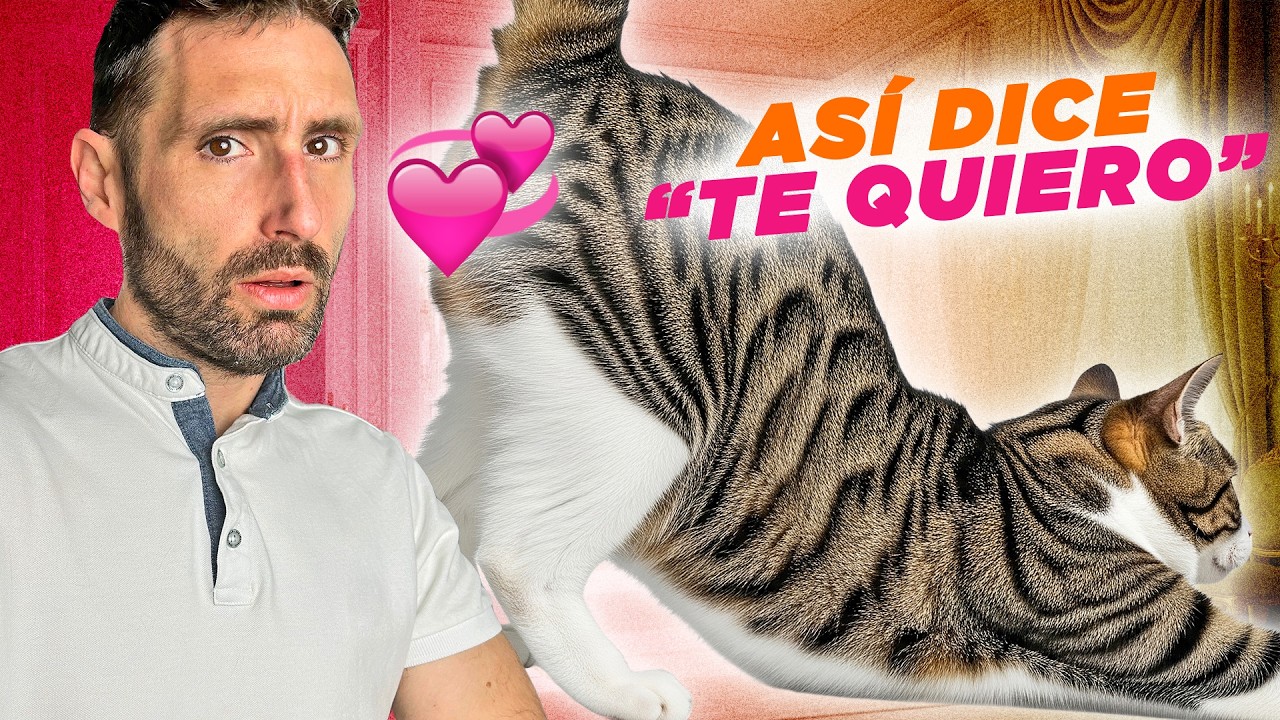 5 FORMAS EXTRAÑAS en las que tu GATO te dice 
