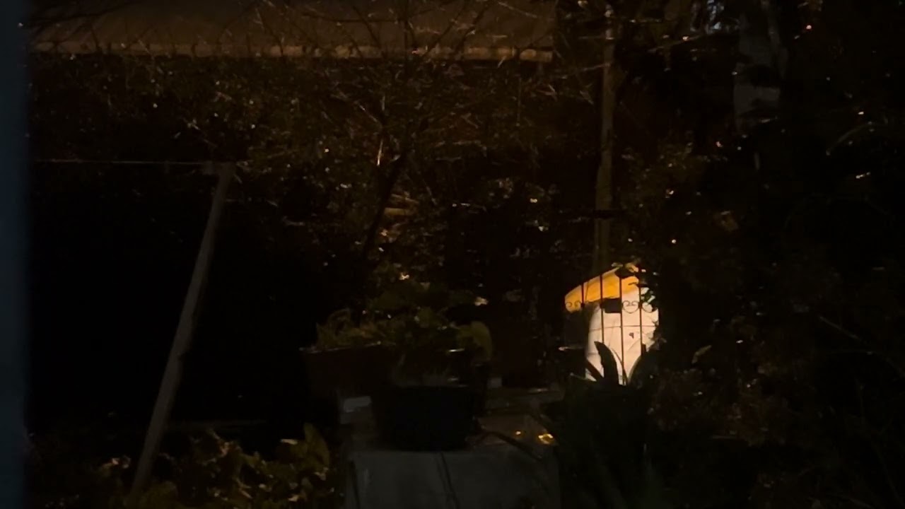 Relaxing rain sound