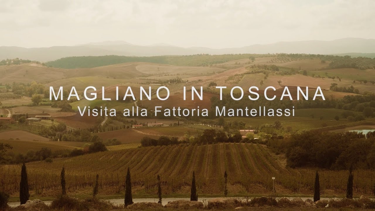 Fattoria Mantellassi a Magliano in Toscana