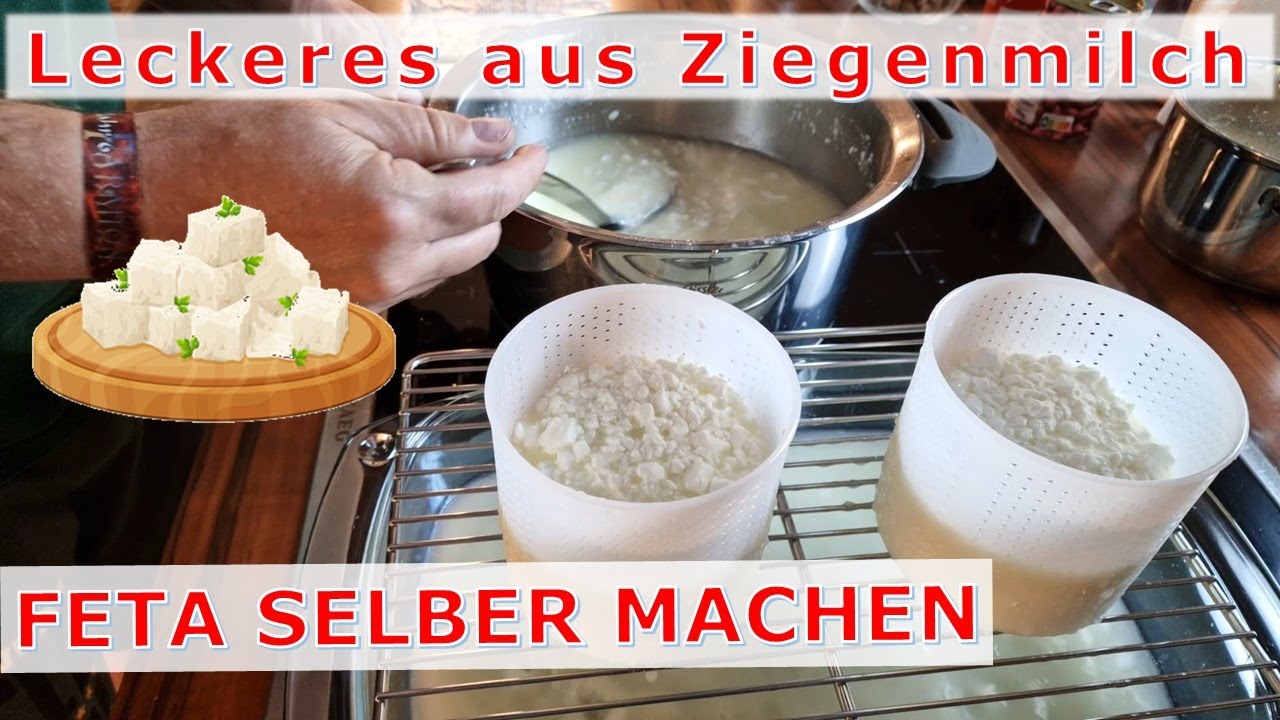 Ziegenmilch verarbeiten: Feta selber machen - Teil 1