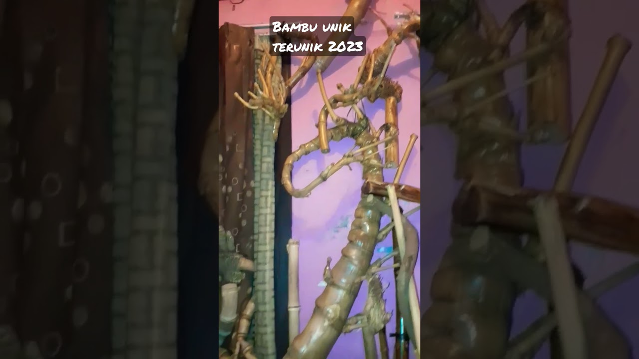 BAMBU UNIK TERUNIK KARYA ALAM SEMESTA