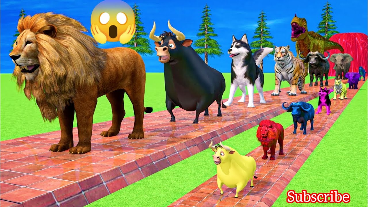 Kids Go WILD with 3D Animal Racing Epic Challenge