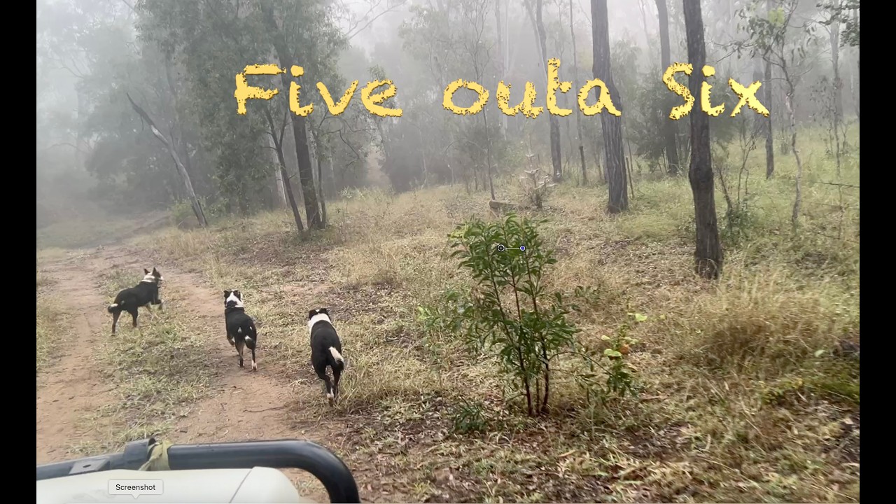 Five outa six