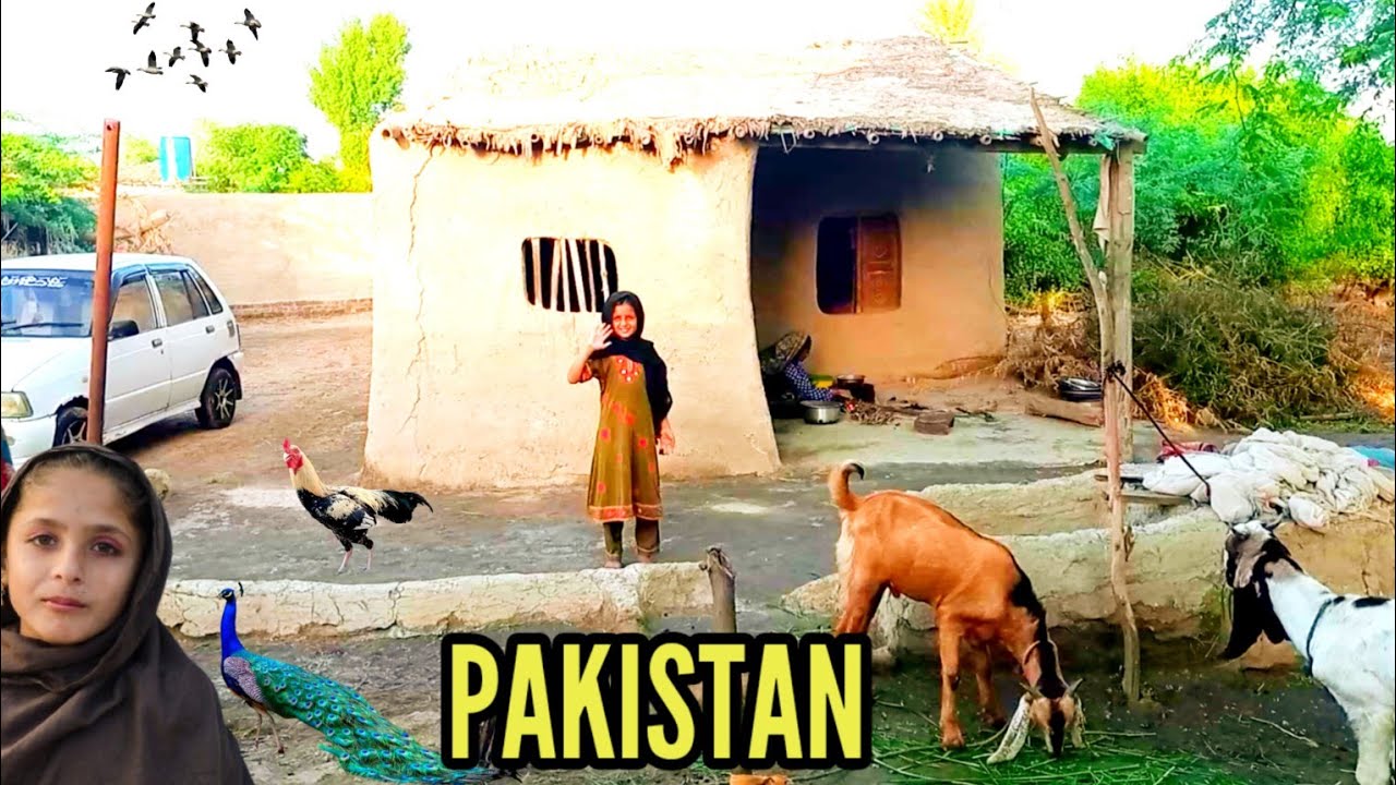 Pakistan Ke Gaon Ka Vlog How is Sindhi Peoples Living in The Villages 2025