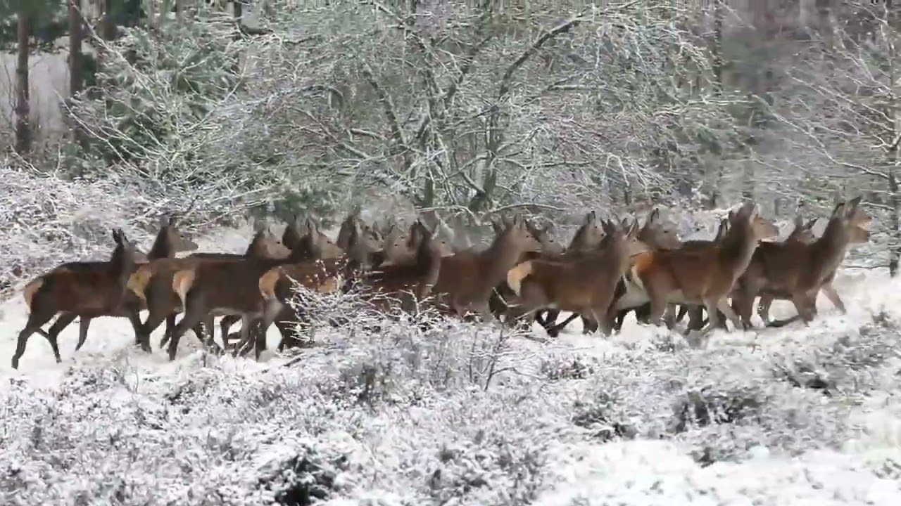 Slow Motion Music || Relaxing Music || Tides