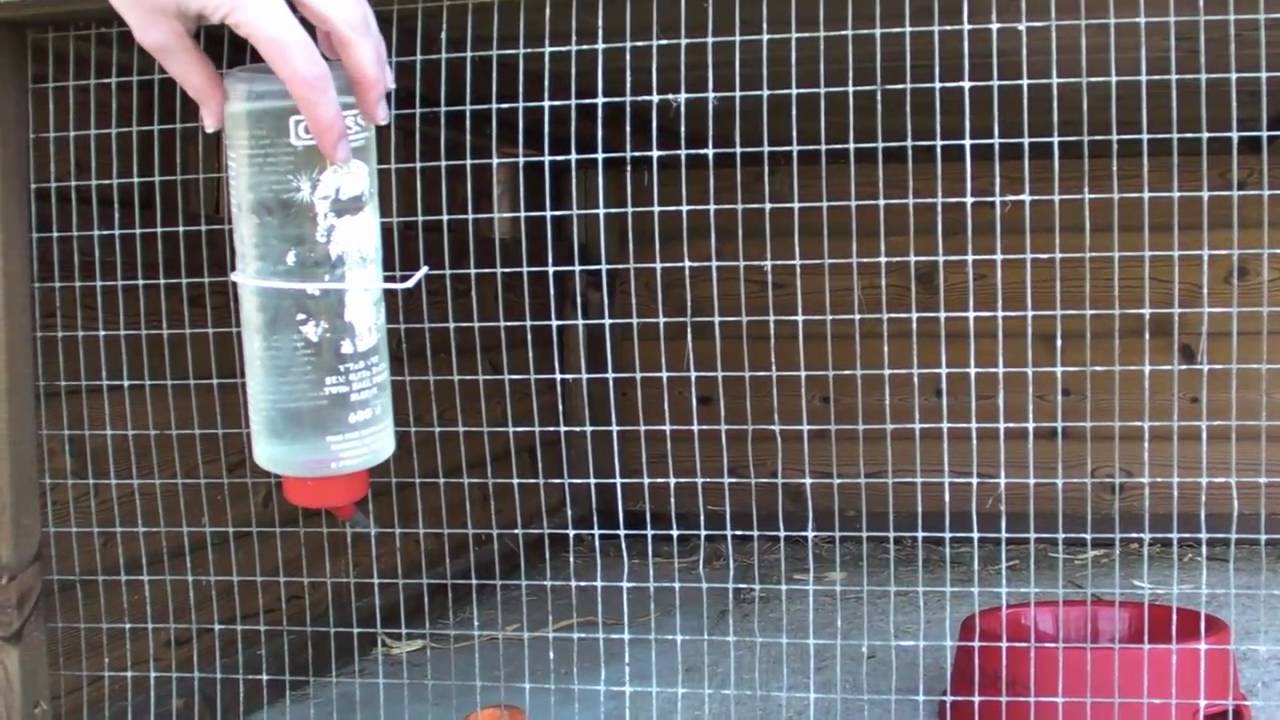 Animal health and husbandry: rabbit housing