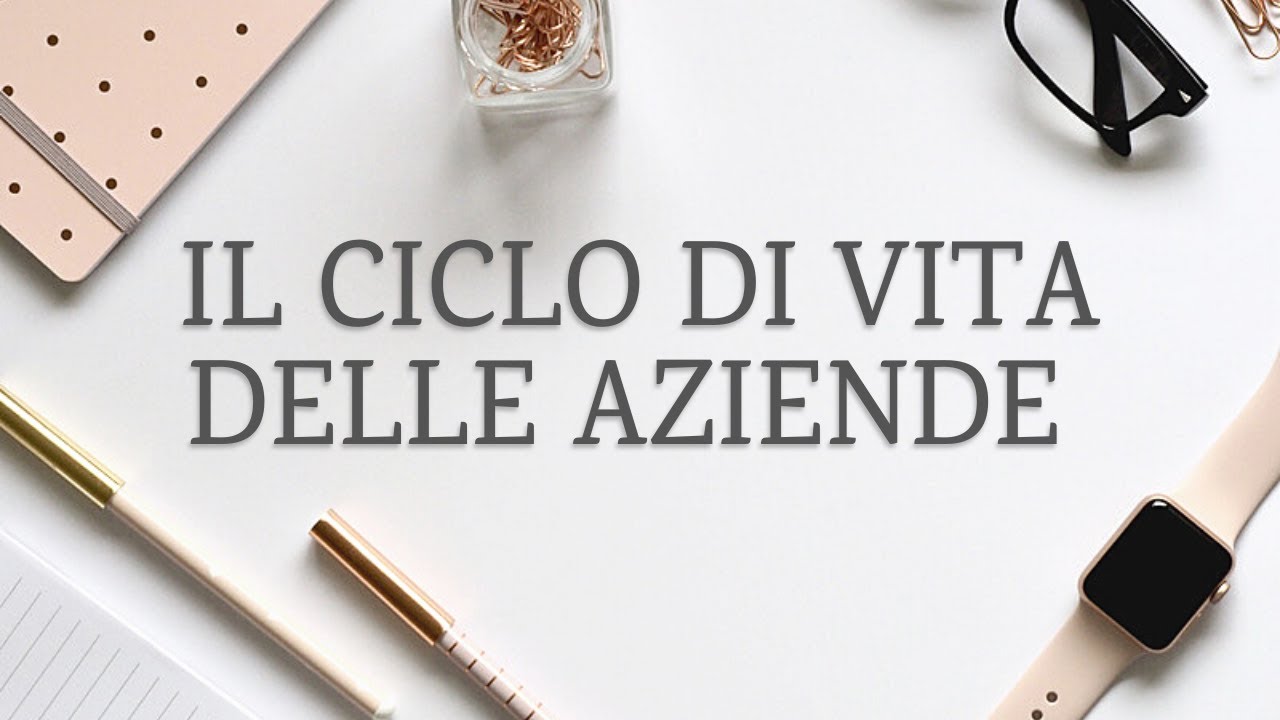 Il Ciclo di vita delle Aziende - Economia Aziendale per tutti