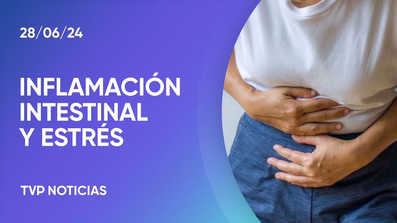 Las claves para evitar la inflamaci&oacute;n intestinal por estr&eacute;s