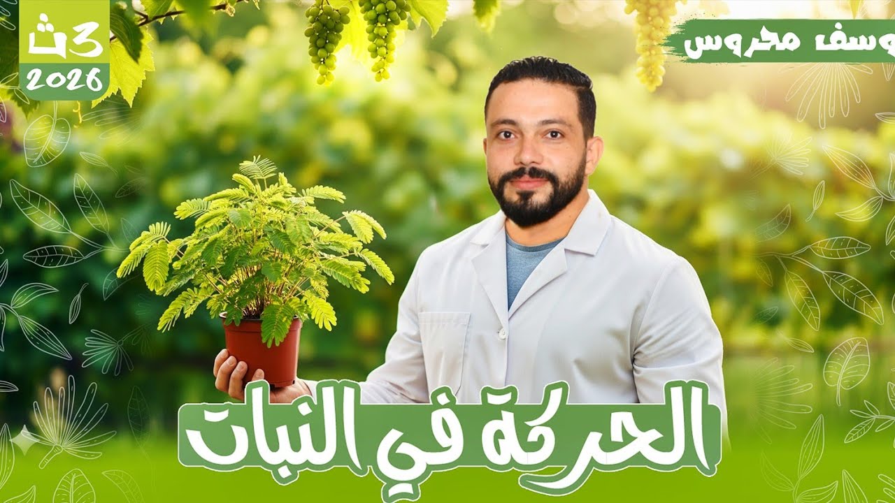 شرح درس الحركة في النبات 🌱 | أحياء ثانوية عامة 2026 | مستر يوسف محروس