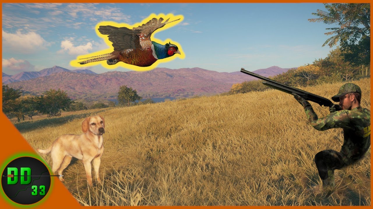 Pheasant Hunting With Our New Labrador Retriever! Call Of The Wild