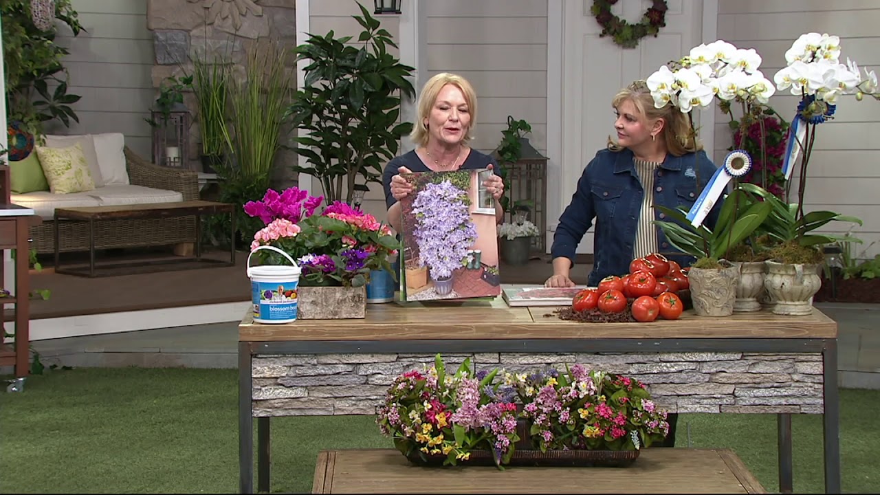 Richard Jackson Blossom Booster Concentrate Fertilizer 3lb on QVC