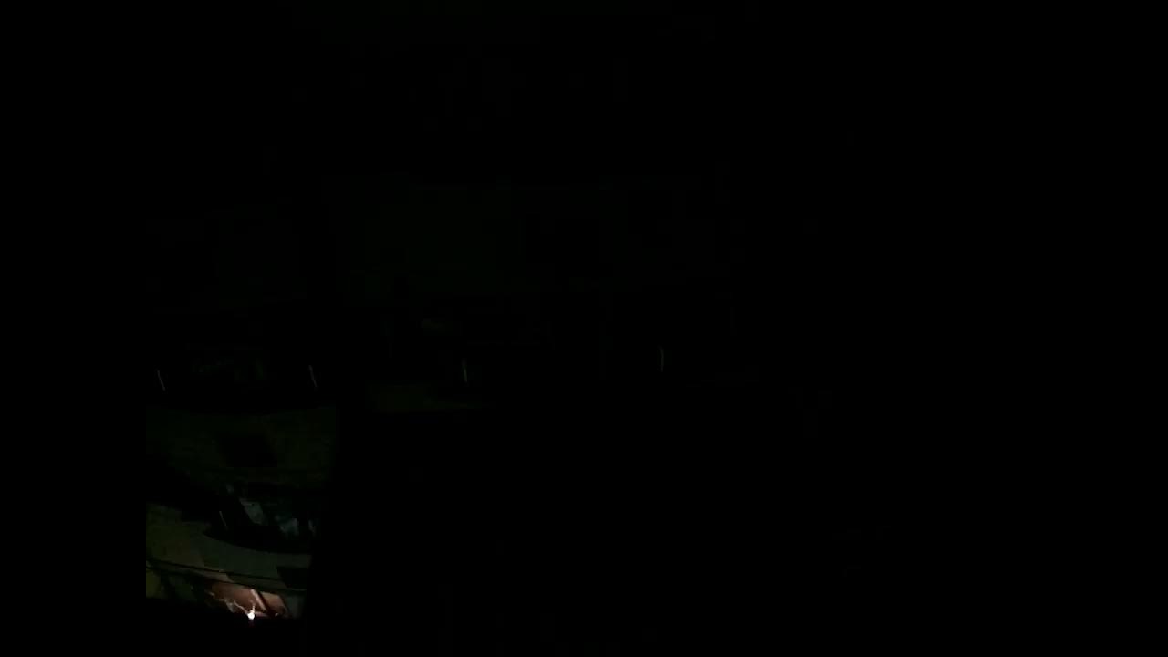 トリチューブ (BirdTube)