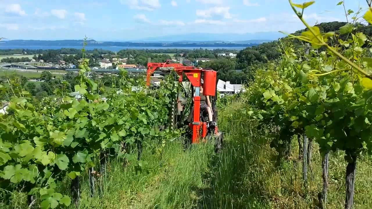 Tracteur &agrave; chenilles LOEFFEL Viti-Plus 95 av Machine &agrave; Palisser