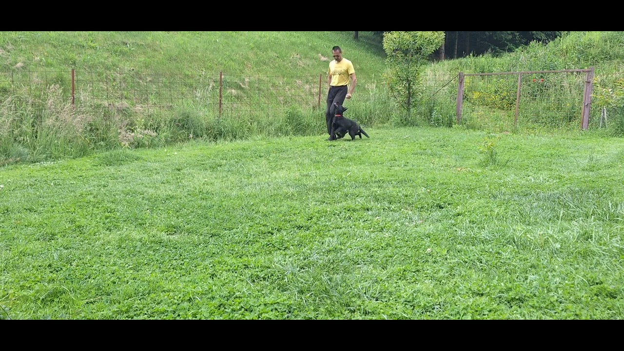 Arlo Barnero - slobodno pracenje 4,5 mj.