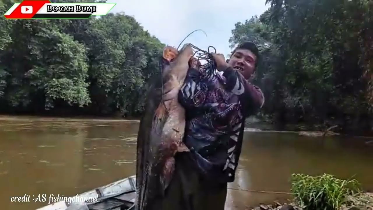 Tapah Gergasi Monster / Monster Tapah Gergasi.