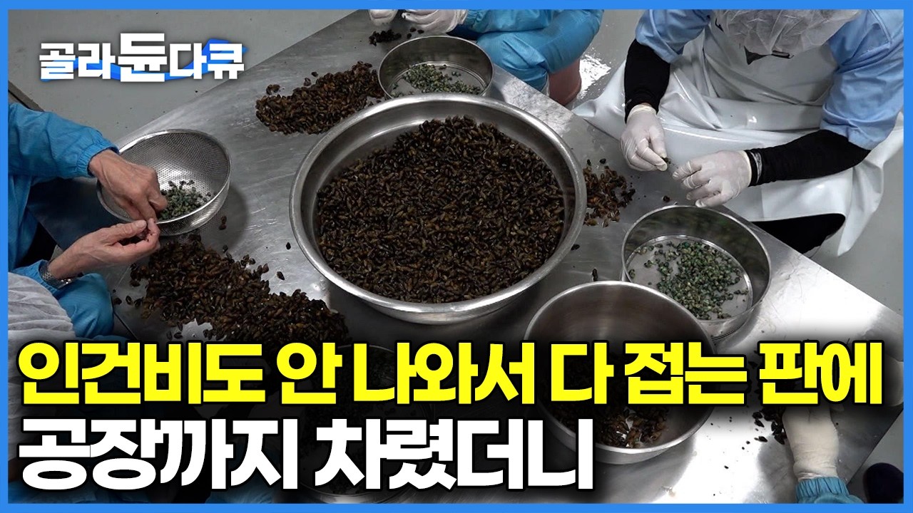 옛날보다 많이 사라져서 구하기도 어려운데 찾는 사람 꾸준히 있어 못 그만둔다, 이왕 하는 김에 공장까지 차려버린 사장님｜극한직업｜#골라듄다큐