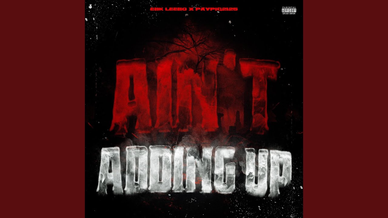 Aint Adding Up (feat. PAYPIG2125)