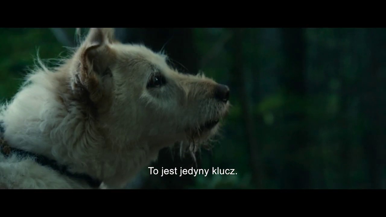 TO PRZYCHODZI PO ZMROKU - zwiastun PL - 7.07.2017