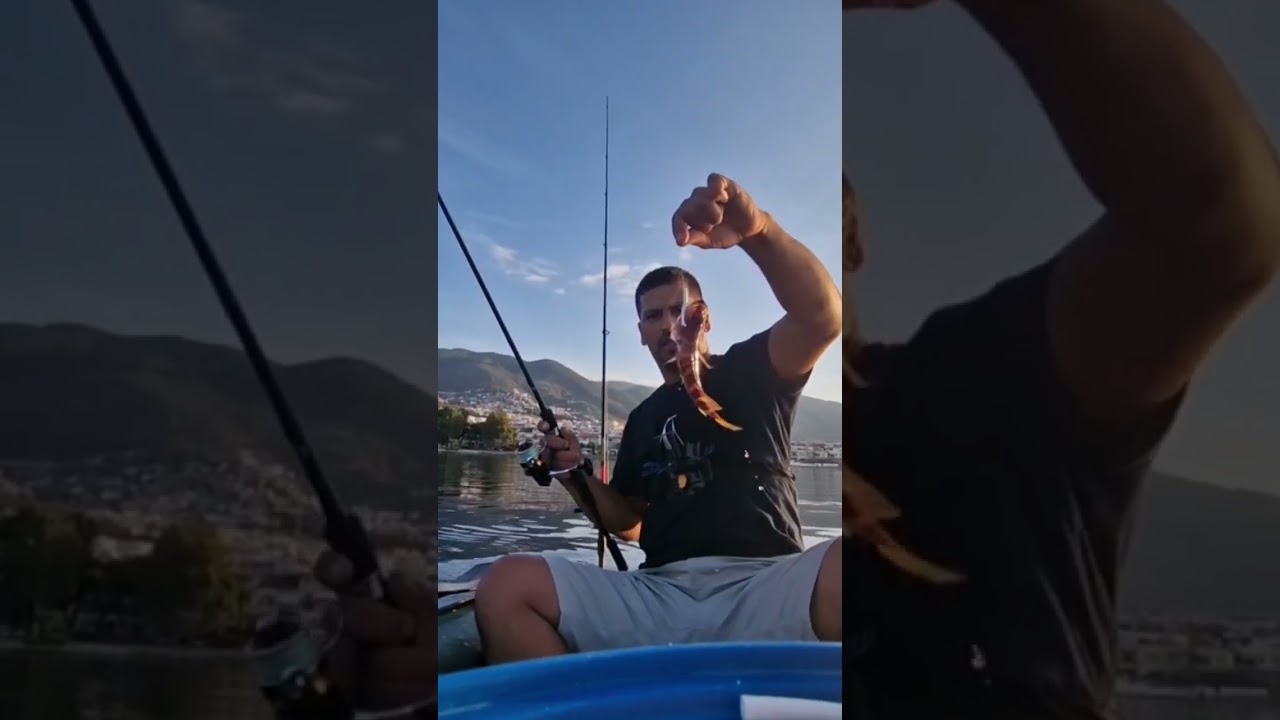 Oltamıza Gelen Hani Balığı 🐟