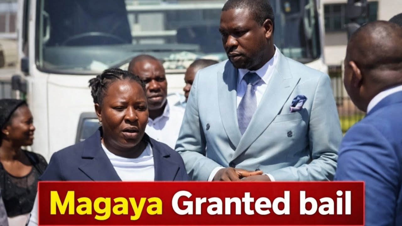 Walter Magaya granted bail after arrest on fresh rape charges.