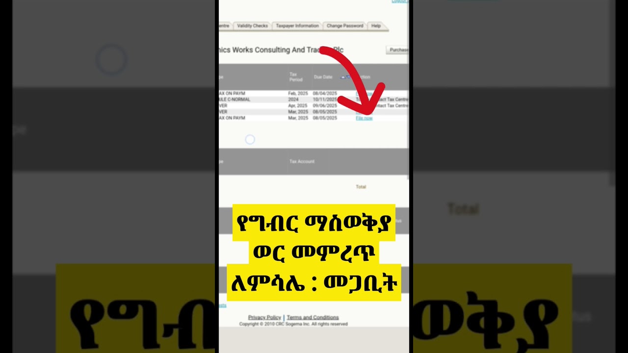 how to send an online VAT Report to the E-tax system ministry of revenue|Ethiopia #etax #revenue