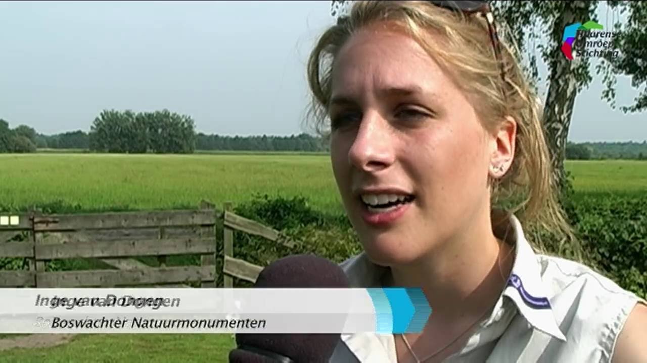 Pal naast natuurpark Loonse en Drunense Duinen; rust en natuur bij camping Weideblik in Helvoirt