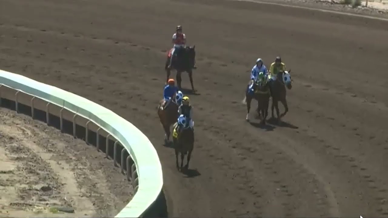 R1 Turf Paradise 12 Mar 2026