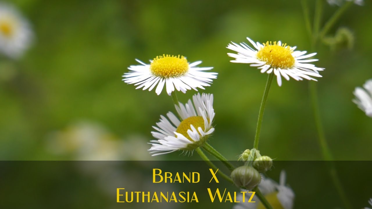 Brand X - Euthanasia Waltz