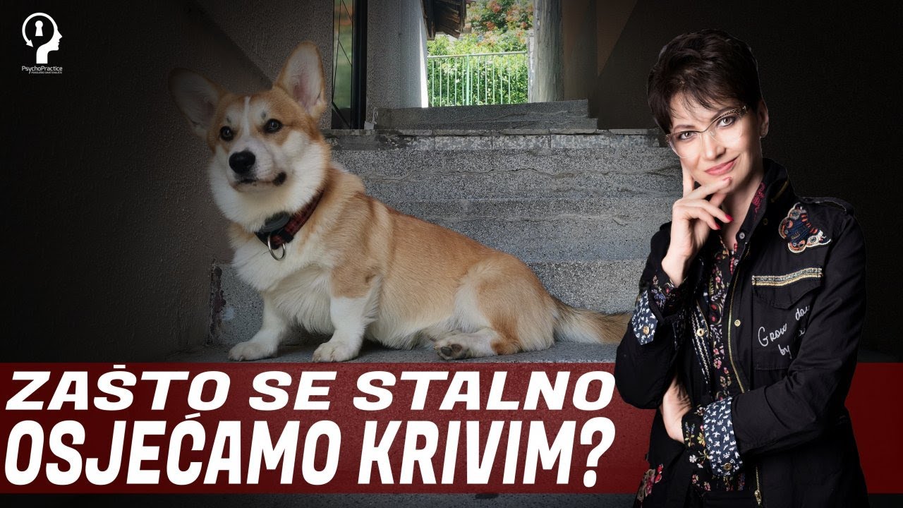 Zašto se stalno osjećamo krivim?｜prof. dr. sc. Jasna Bajraktarević