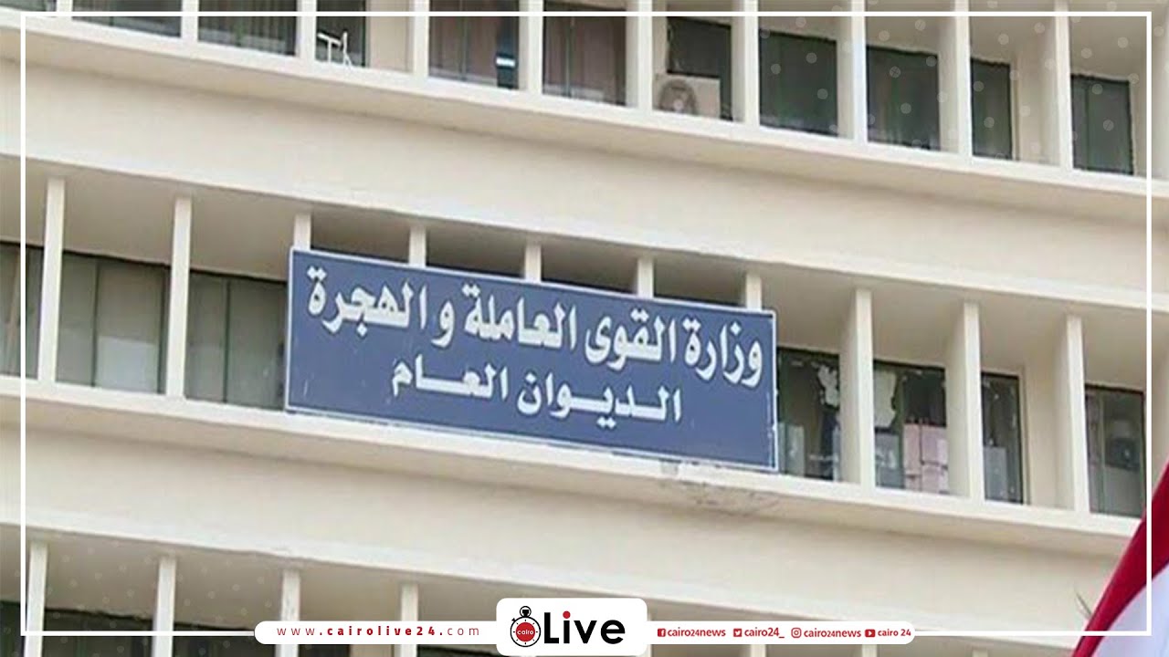 القوى العاملة تعلن عن عدة توصيات للمصريين الراغبين في العمل بالمملكة الأردنية