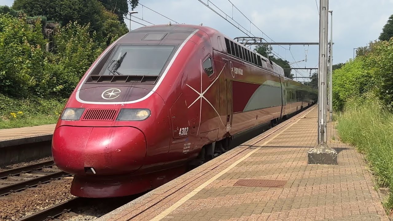 Trains at Mortsel-Oude God Station (4K) 14-07-25