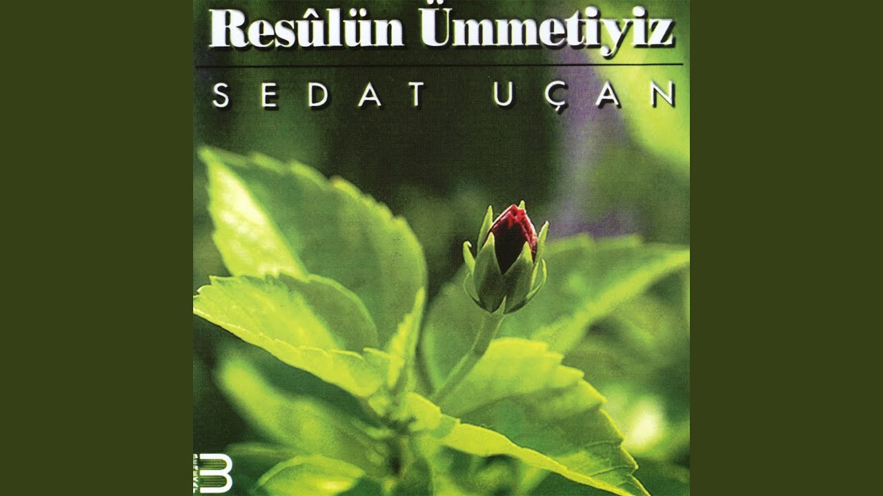 Babam