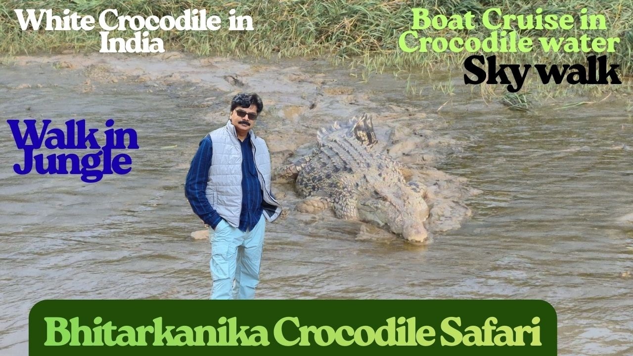 Bhitarkanika National Park #crocodiles #lizards  #odisha #nawabtravelvlogs Inside India’s Amazon