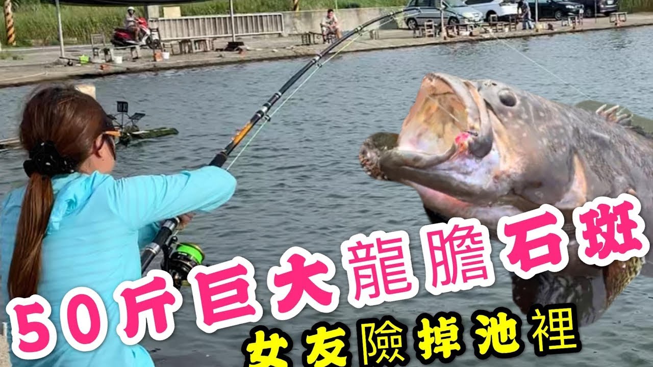 【 逆刃釣龍膽Ep02】女友釣50斤巨大龍膽石斑！險被拖下水！ 全場唯一女性 瞬間成為矚目焦點！Ft新竹香山黑人龍膽池 and 名洋釣具