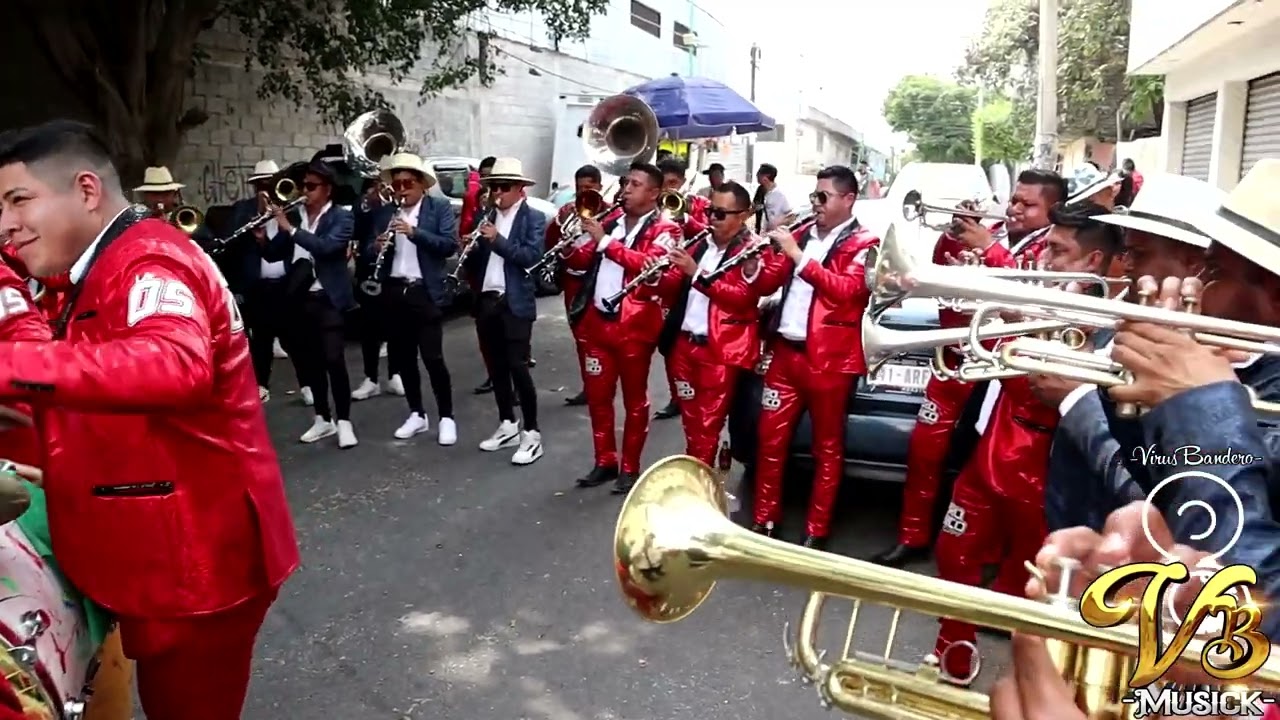 Chinelo Carnavalero/ Pelea De Gallos/ Ramito De Violetas - Banda Cero 5 FT. Banda La Reyna De Oaxaca