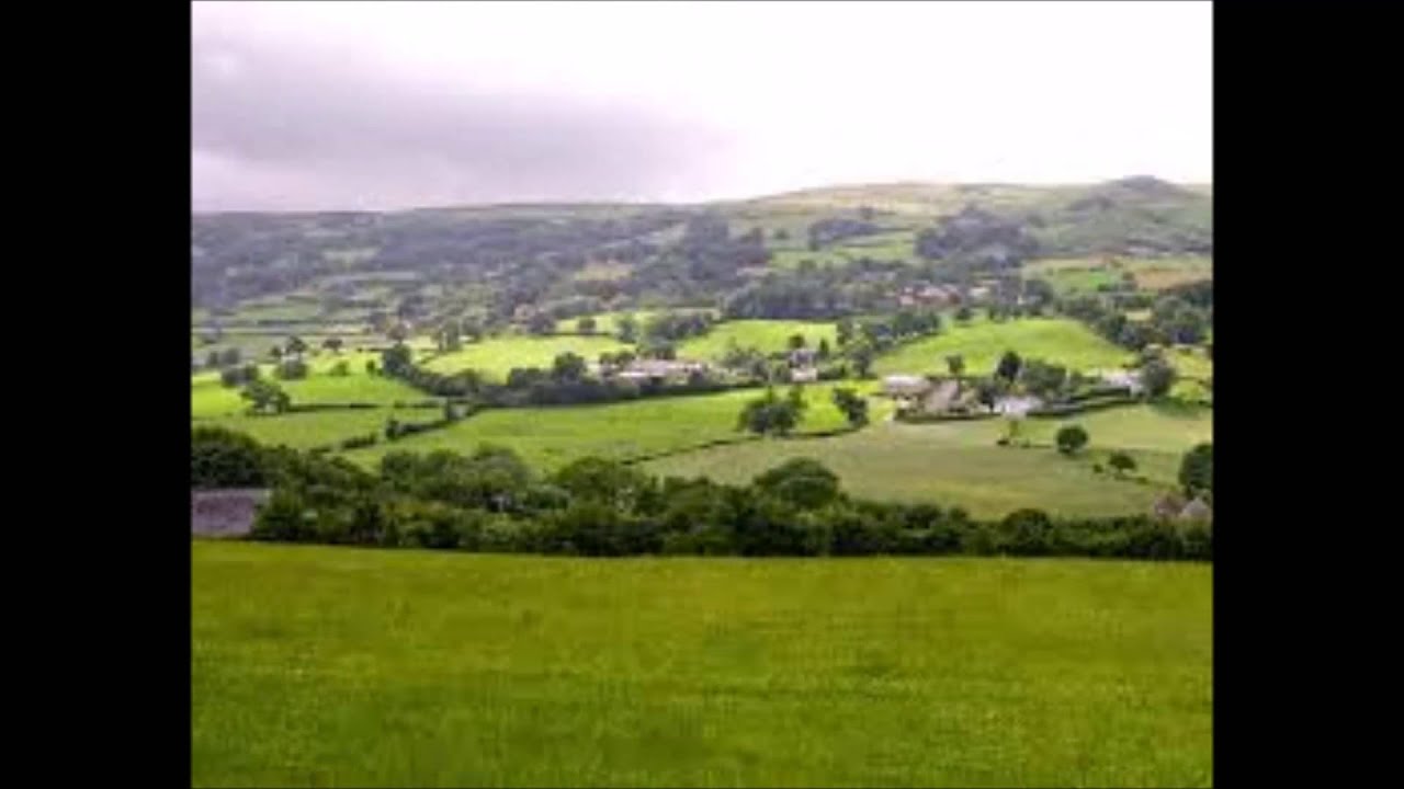 Vitae Lux / Frode Alnaes