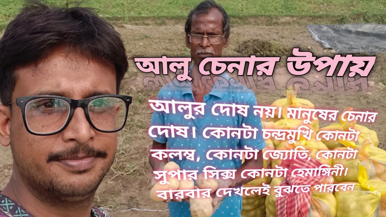 আলু চেনার উপায়#potato #চন্দ্রমুখী আলু#জ্যোতি আলু#youtube
