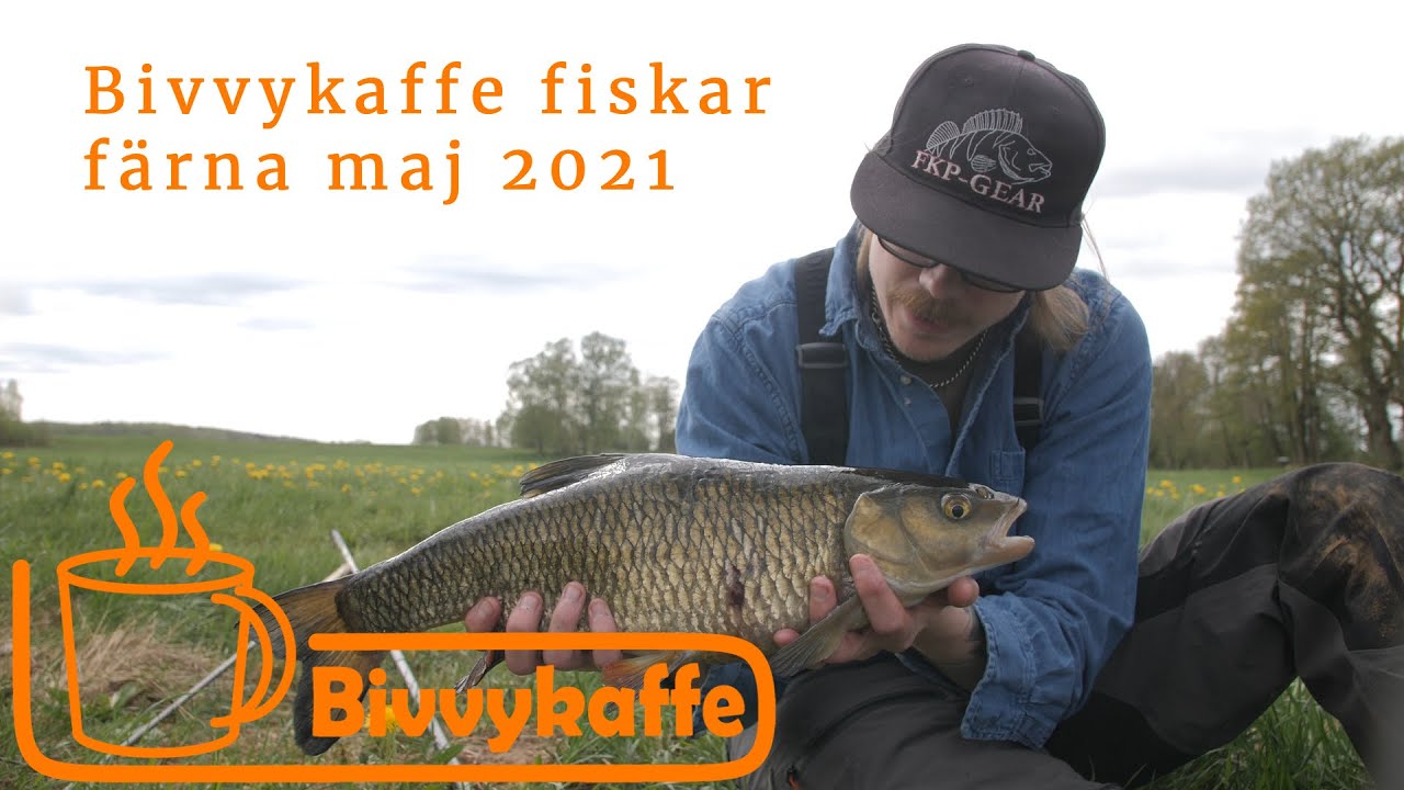 Bivvykaffe fiskar färna, maj 2021