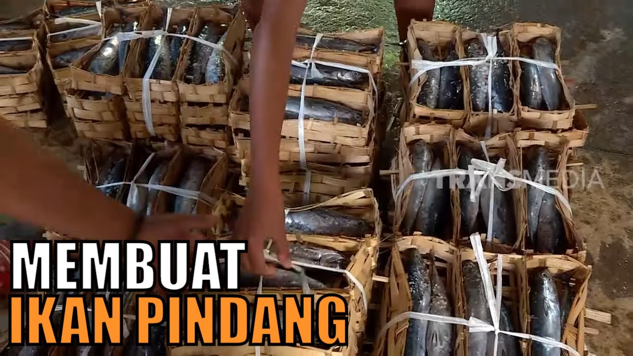 Membuat Ikan Pindang | BOCAH PETUALANG