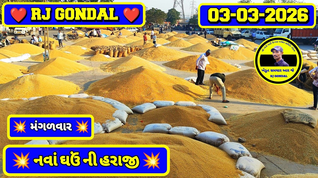 નવા ઘઉં ના ભાવ | 03-03-2026 | ગોંડલ નવા ઘઉંના ભાવ | Wheat Market Price | RJ Gondal Marketing Yard 
