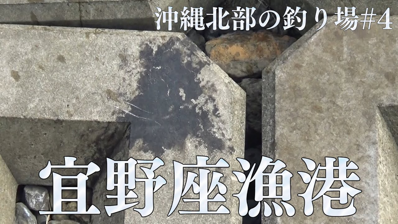 【沖縄】釣り場ポイント　宜野座漁港【沖縄北部の釣り場】