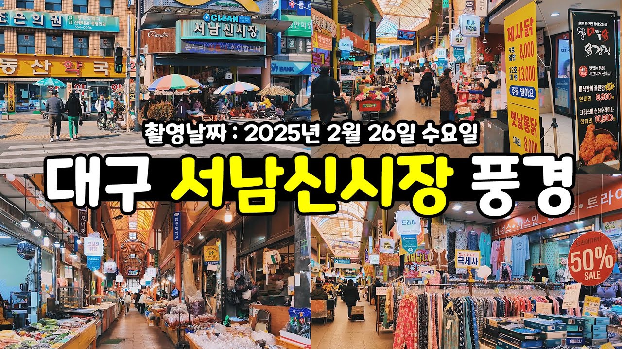 대구 서남신시장 풍경 걸으면서 구경 1인칭시점 걷기 영상