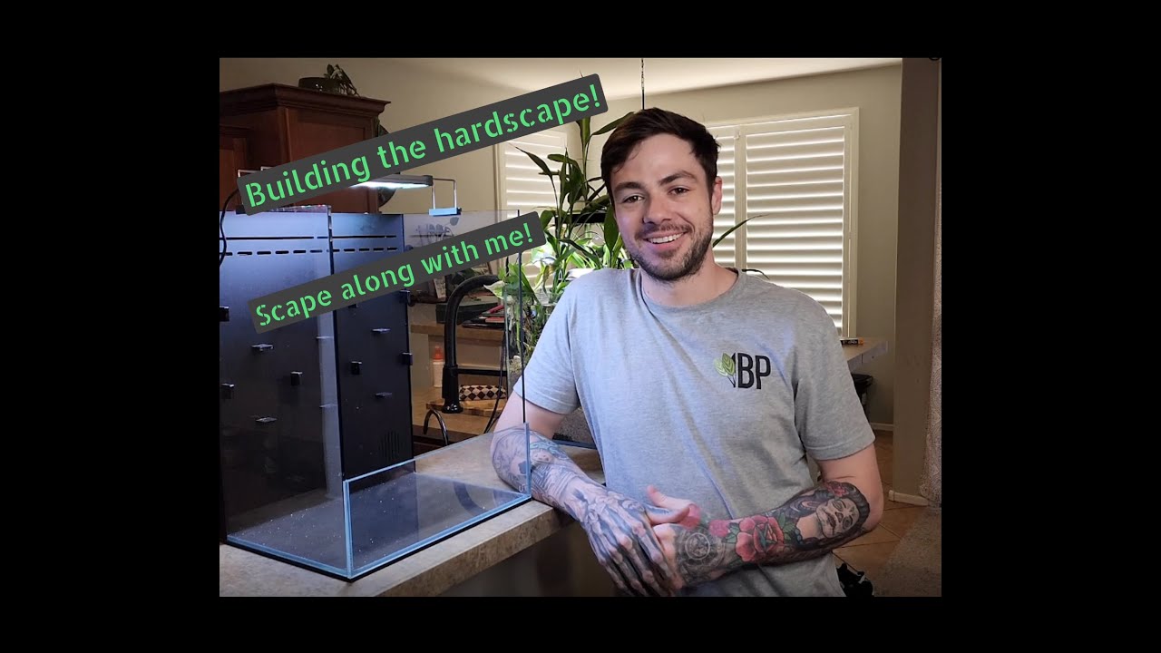 Join me while I begin the foresta journey! Scape along with me!