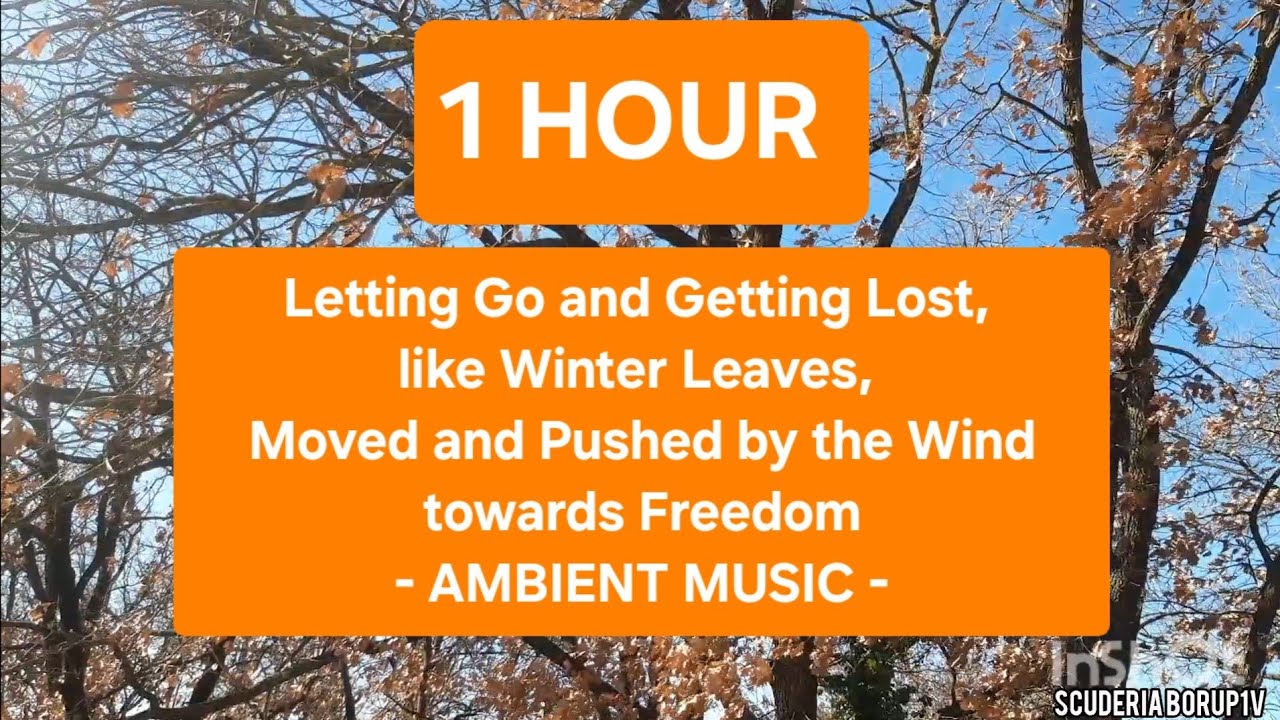 1 HOUR | Letting Go and Getting Lost, like Winter Leaves, Moved and Pushed by the.. | AMBIENT MUSIC 